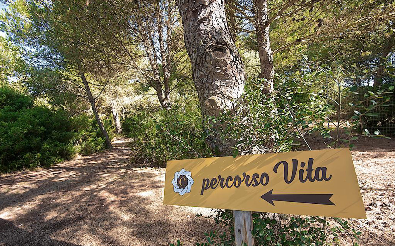percorso-vita-1.jpg